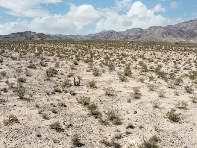 0 Morongo Rd, 29 Palms